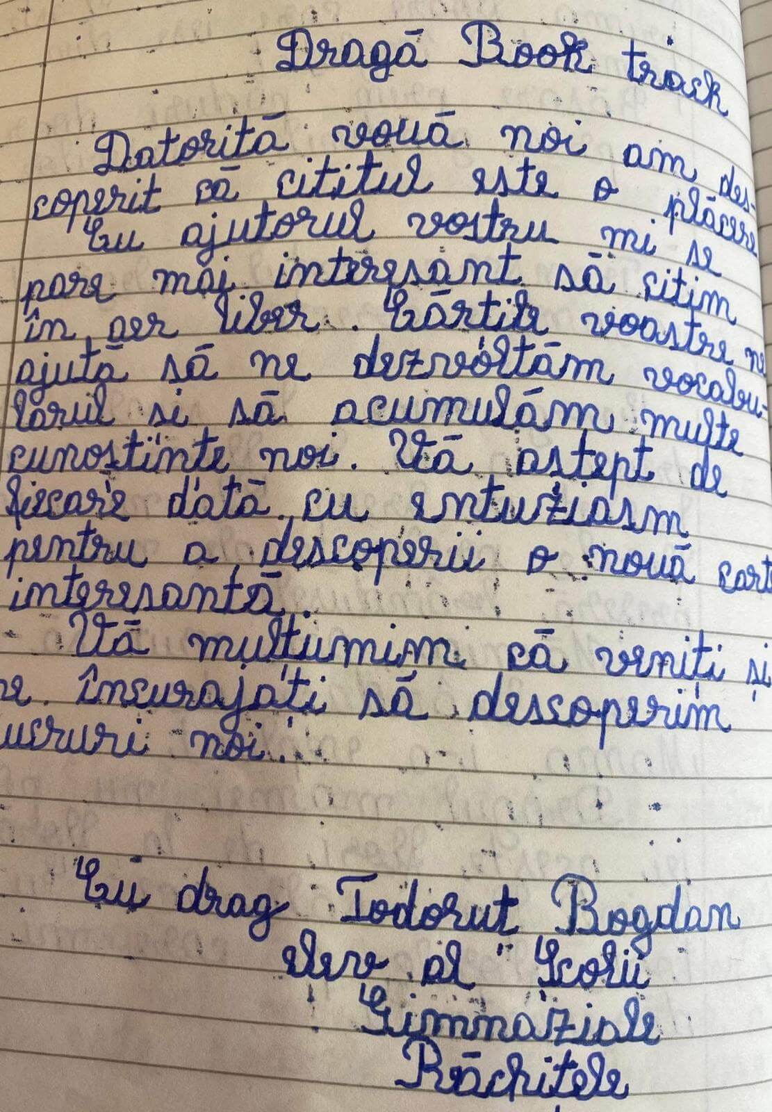 Imagine secțiune impact